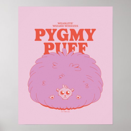 HARRY POTTER™ | Weasleys Wizard Pygmy Puff Poster (Vorne)