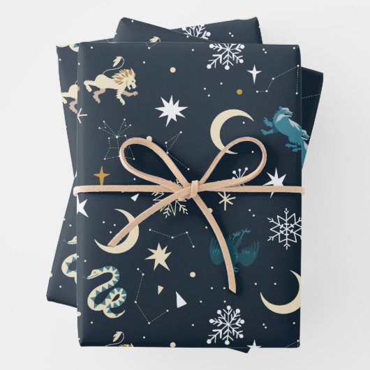 Harry Potter | Winterkonstellationsmuster Geschenkpapier Set (Beispiel)