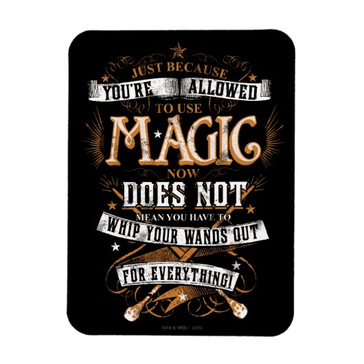 Harry-Potter-Zauber | Nur weil du darfst Magnet (Vertikal)