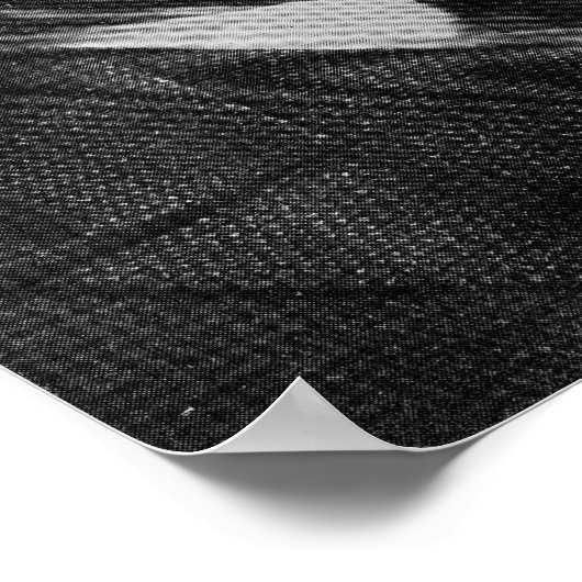 Harry Price Poster (Ecke)