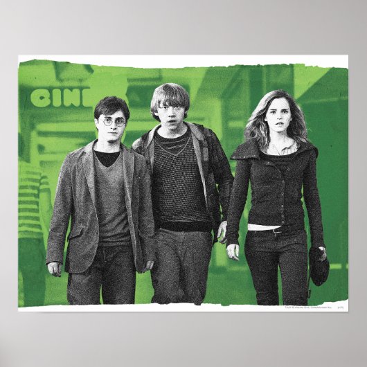 Harry, Ron, and Hermione 1 Poster (Vorne)