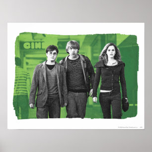 Harry, Ron und Hermione 1 Poster