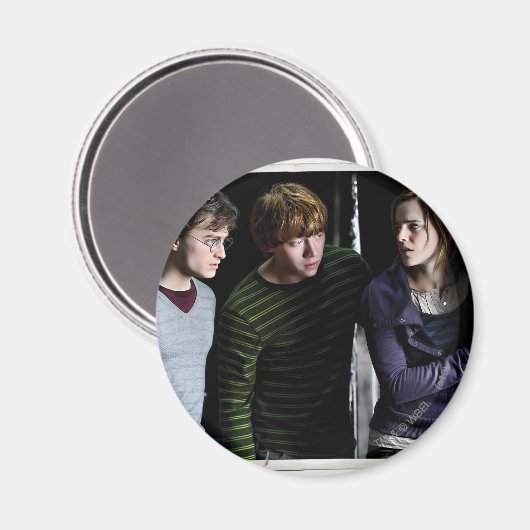 Harry, Ron und Hermione 4 Magnet (Vorderseite/Rückseite)