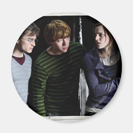 Harry, Ron und Hermione 4 Magnet (Vorne)