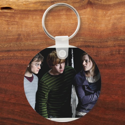 Harry, Ron und Hermione 4 Schlüsselanhänger (Vorderseite)