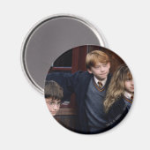 Harry, Ron und Hermione Magnet (Vorderseite/Rückseite)