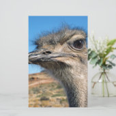 Harry the Happy Ostrich Briefpapier (Stehend Vorderseite)
