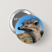 Harry the Happy Ostrich Button (Vorne & Hinten)