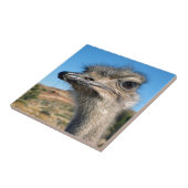 Harry the Happy Ostrich Fliese (Seite)