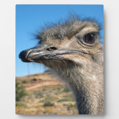 Harry the Happy Ostrich Fotoplatte (Vorderseite)