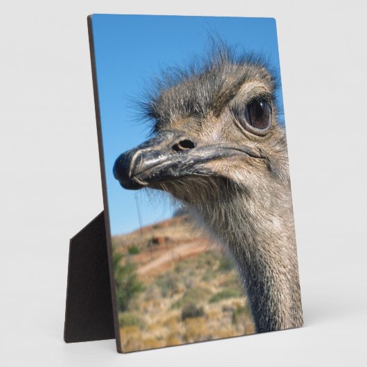 Harry the Happy Ostrich Fotoplatte (Seite)