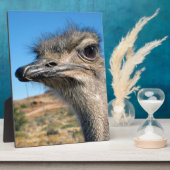Harry the Happy Ostrich Fotoplatte (Seite)