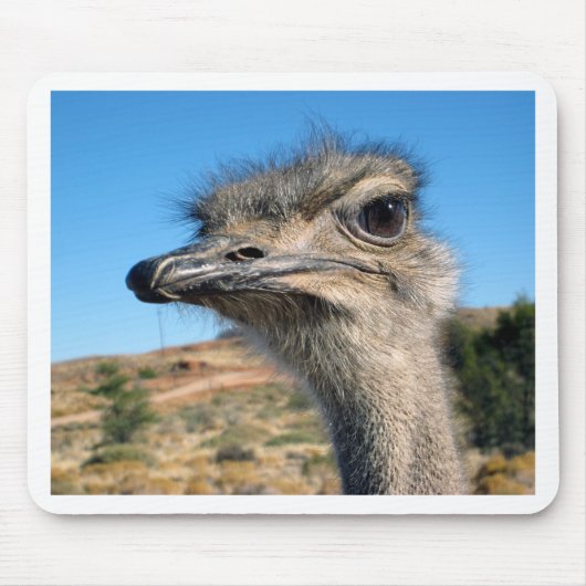 Harry the Happy Ostrich Mousepad (Vorne)