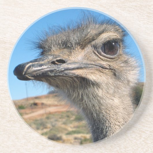 Harry the Happy Ostrich Sandstein Untersetzer (Vorne)