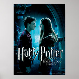 Harry und Ginny 1 Poster