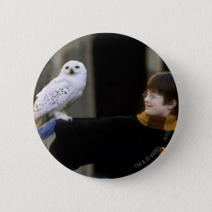 Harry und Hedwig 3 Button