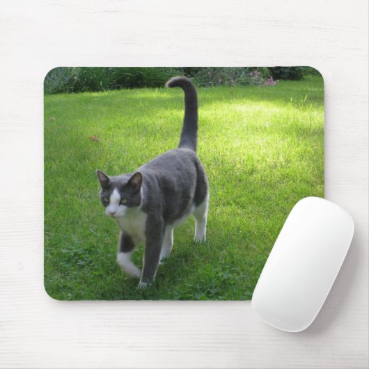 Harrypad 1 mousepad (Mit Mouse)
