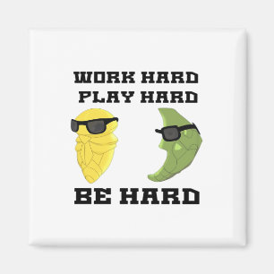 hart arbeiten, so hart spielen, hart klassisch sei magnet