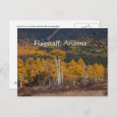 Hart Prairie Flagstaff, Arizona Postkarte (Vorne/Hinten)