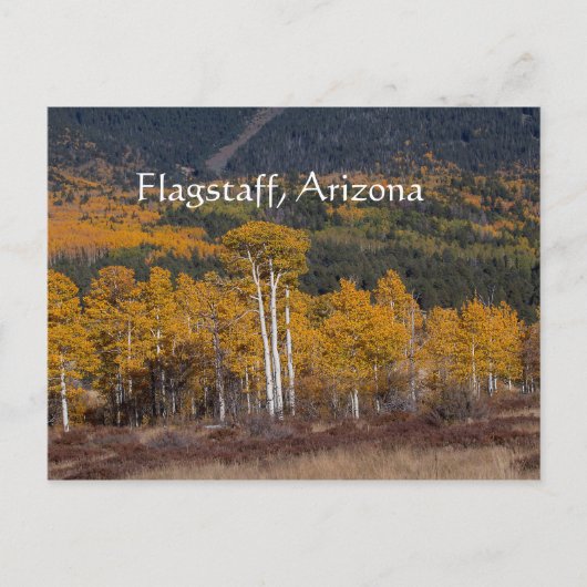 Hart Prairie Flagstaff, Arizona Postkarte (Vorderseite)