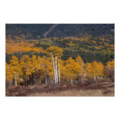 Hart Prairie Fotodruck (Vorne)