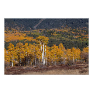 Hart Prairie Fotodruck