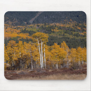 Hart Prairie Mousepad