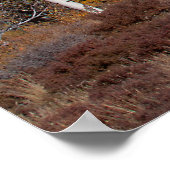 Hart Prairie Poster (Ecke)