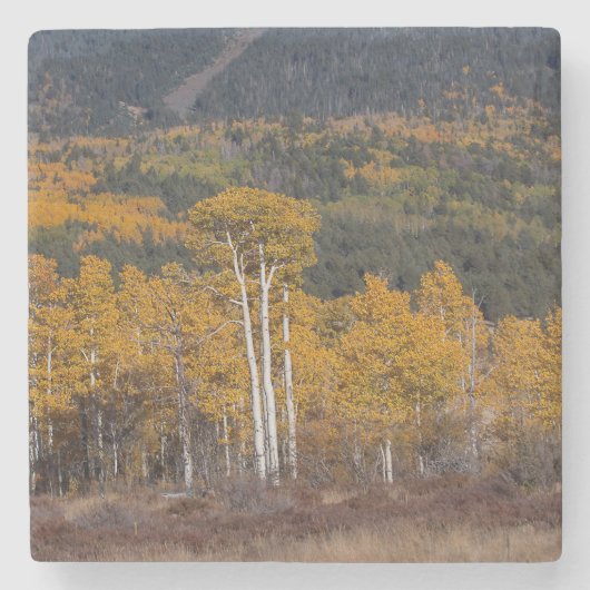 Hart Prairie Steinuntersetzer (Vorderseite)