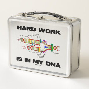 Harte Arbeit ist in meinem DNA-Molekularbiologie-S Metall Brotdose