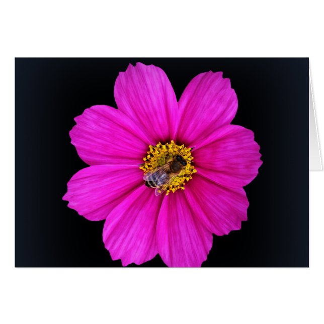 harte Biene (Vorderseite (Horizontal))