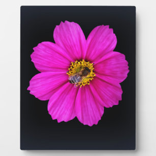 harte Biene Fotoplatte