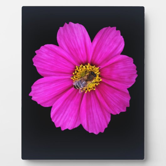 harte Biene Fotoplatte (Vorderseite)