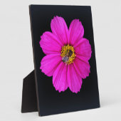 harte Biene Fotoplatte (Seite)