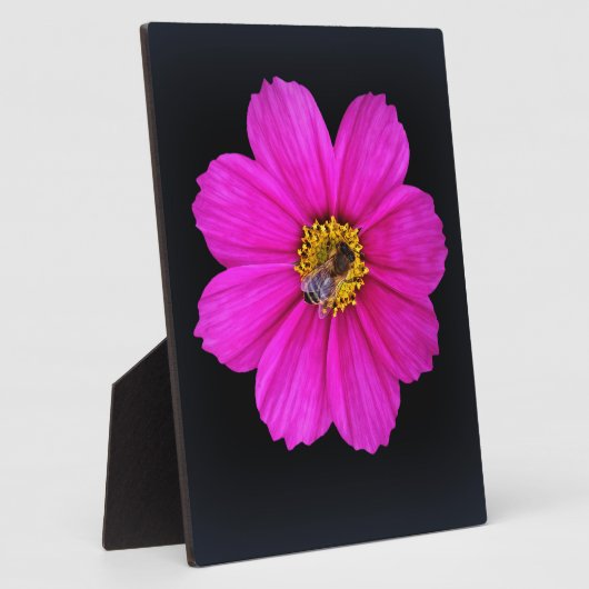 harte Biene Fotoplatte (Seite)