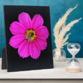 harte Biene Fotoplatte (Seite)