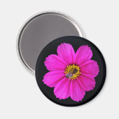 harte Biene Magnet (Vorderseite/Rückseite)