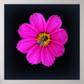 harte Biene Poster (Vorne)