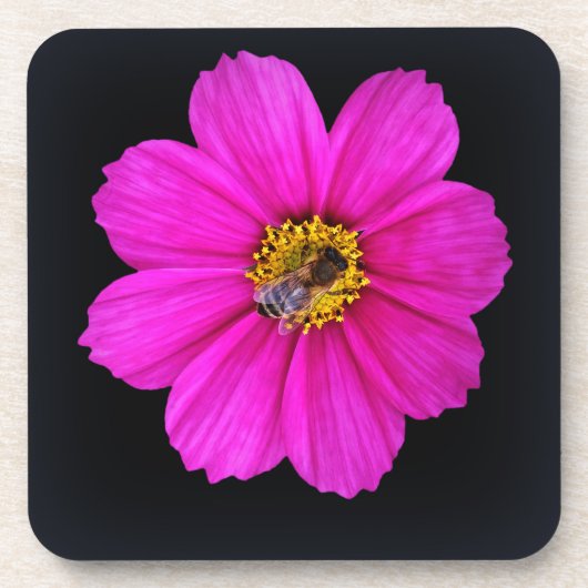 harte Biene Untersetzer (Vorderseite)