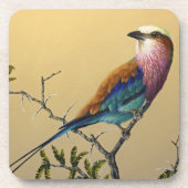 Harte Plastikuntersetzer Getränkeuntersetzer (Vorderseite)