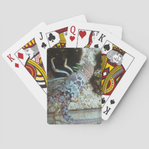 Harte Schotterdecke beim Kartenspielen Spielkarten