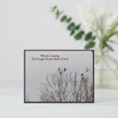 Harte Vögel halten es draußen auf Postkarte (Stehend Vorderseite)