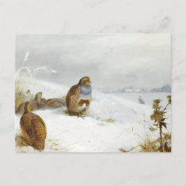 Harte Zeiten - Patronen und ein Hase, Art Birds Feiertagspostkarte