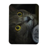 Härteflexibilität Magnet (Vertikal)