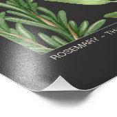 Hartkräuter Botanischer Druck (Ecke)