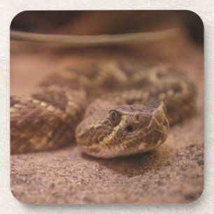 Hartkunststoff-Untersetzer Getränkeuntersetzer