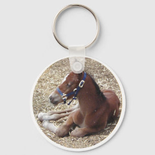 hartlandfoal schlüsselanhänger