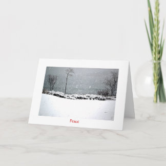 Hartley Mason Park - Holiday Card - Friede Feiertagskarte