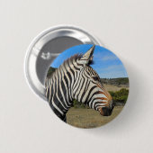 Hartmanns Zebra-Profil bei Fossil Rim Button (Vorne & Hinten)