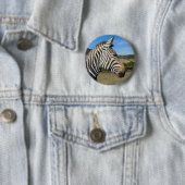 Hartmanns Zebra-Profil bei Fossil Rim Button (Beispiel)